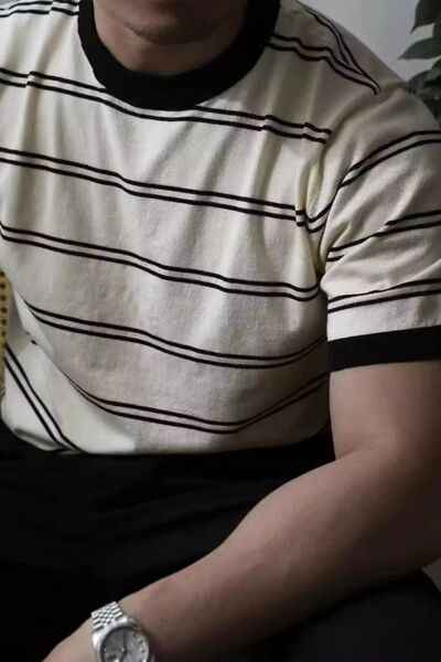 Men's Plus Size Round Neck Striped T-Shirt - Damned Threads