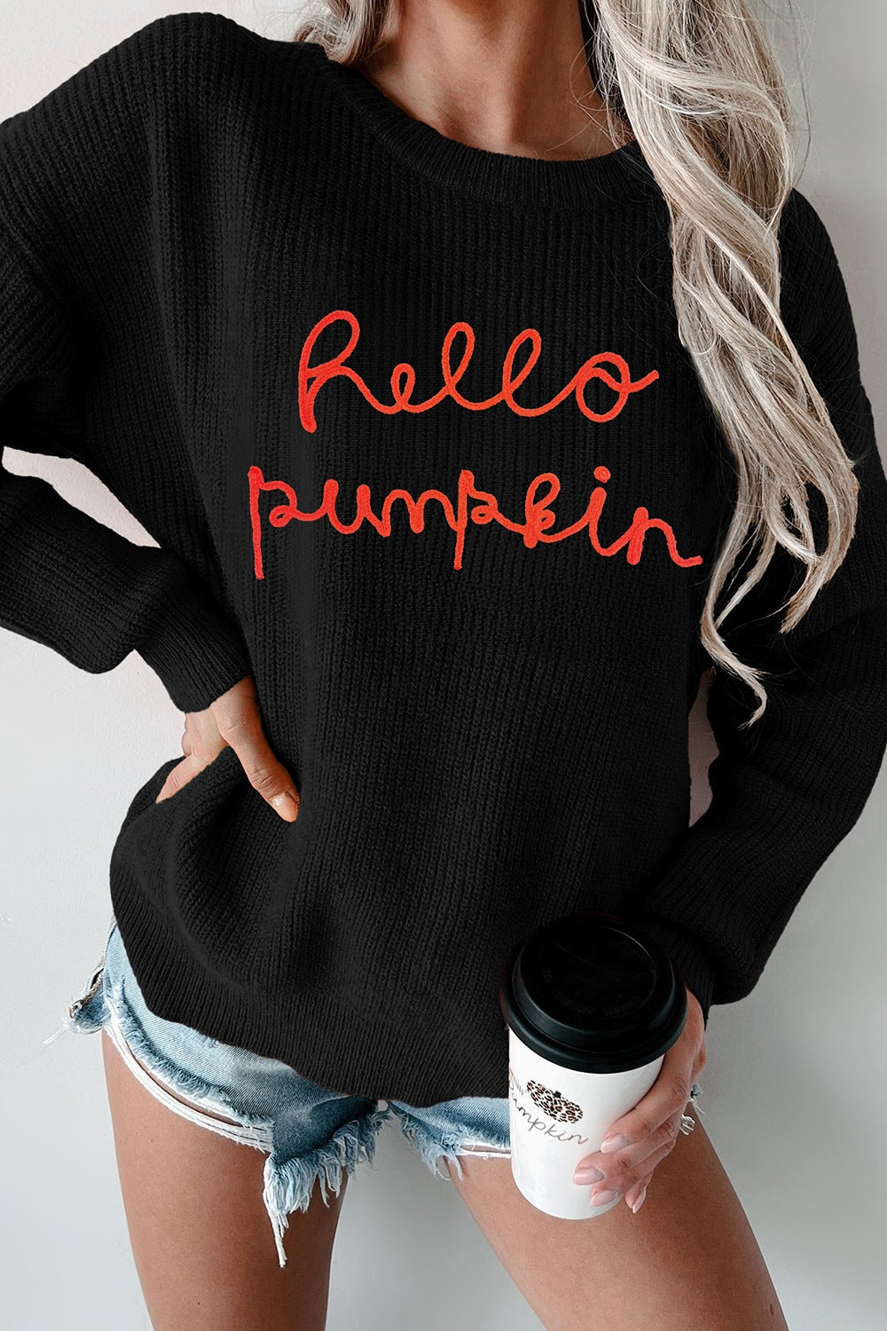 HELLO PUMPKIN Round Neck Long Sleeve Sweater - Damned Threads