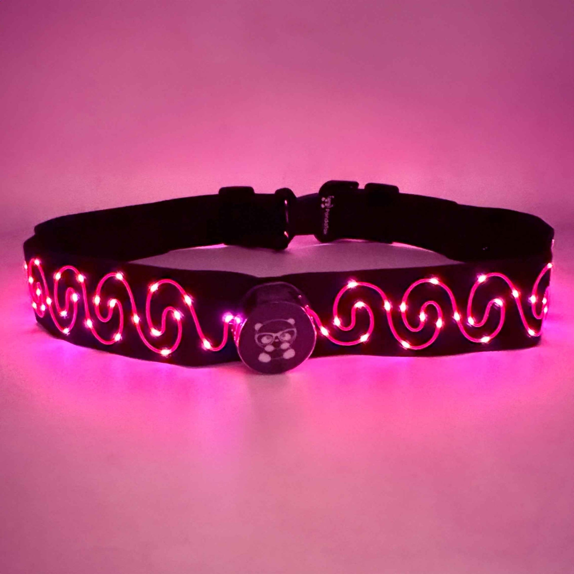 LED Waist Belt - Damned Threads
