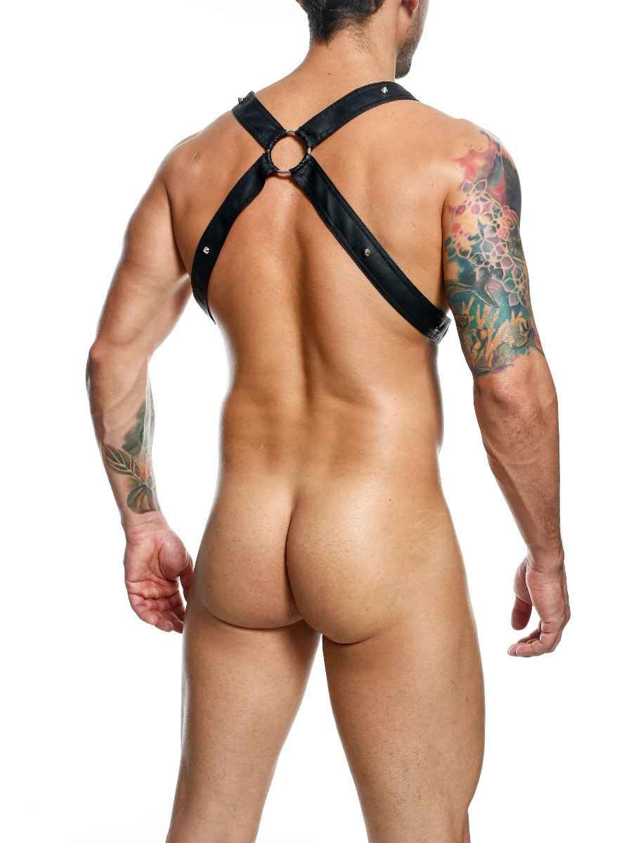 DNGEON Cross C-ring Harness